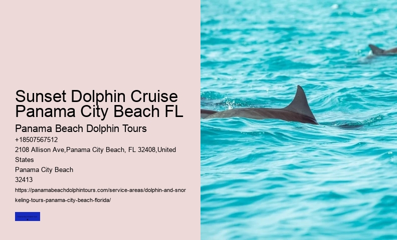 Jet Ski Dolphin Tours Panama City Beach FL