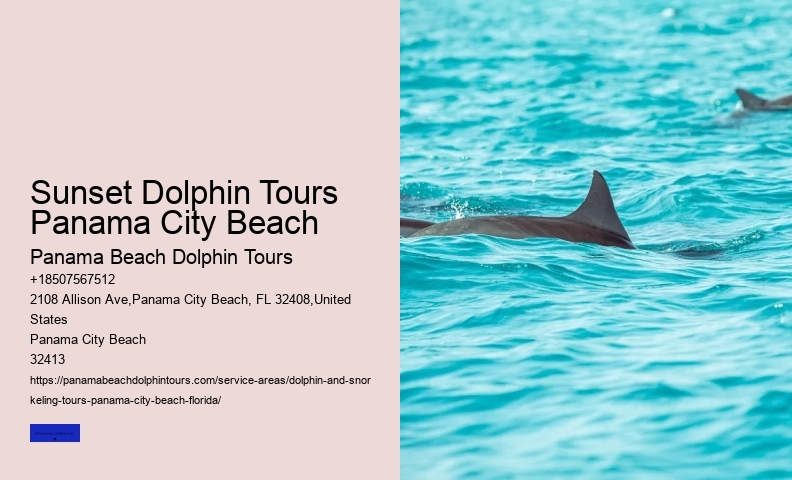 Panama City Beach Dolphin Swim Adventure